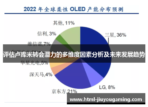 评估卢库米转会潜力的多维度因素分析及未来发展趋势
