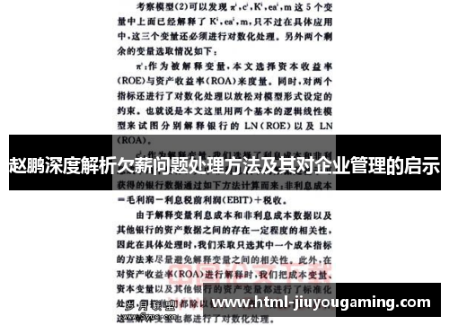 赵鹏深度解析欠薪问题处理方法及其对企业管理的启示