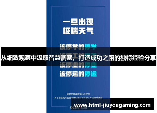 从细致观察中汲取智慧洞察，打造成功之路的独特经验分享