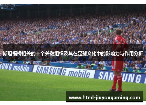 斯坦福桥相关的十个关键组织及其在足球文化中的影响力与作用分析